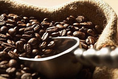 《人生重开模拟器》将推出手游版 预计9月上线