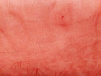 《迷瘴纪事》新角色预告公开 明年发售